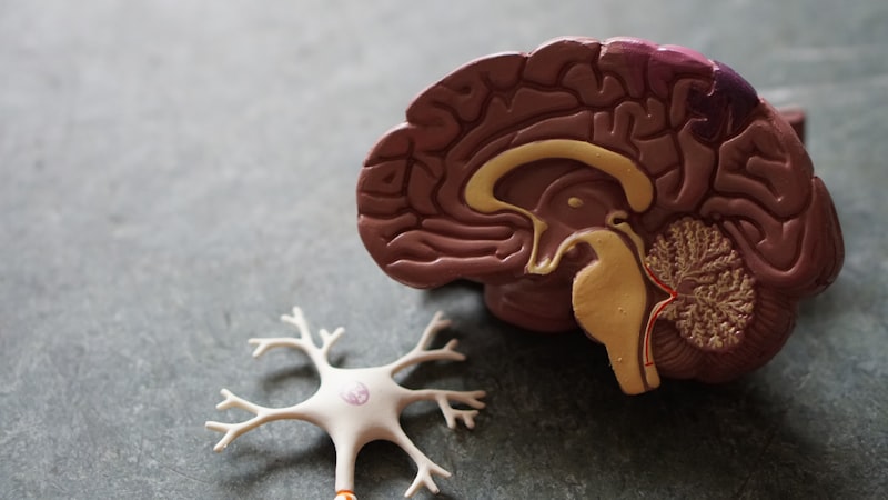 Neurology